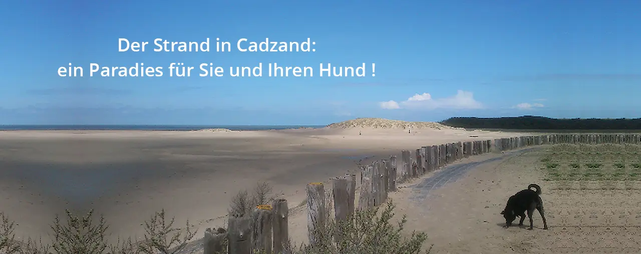 cadzand ferienhaus Zwin