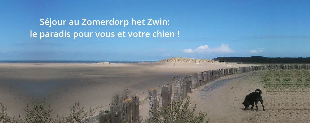 Cadzand location Zwin