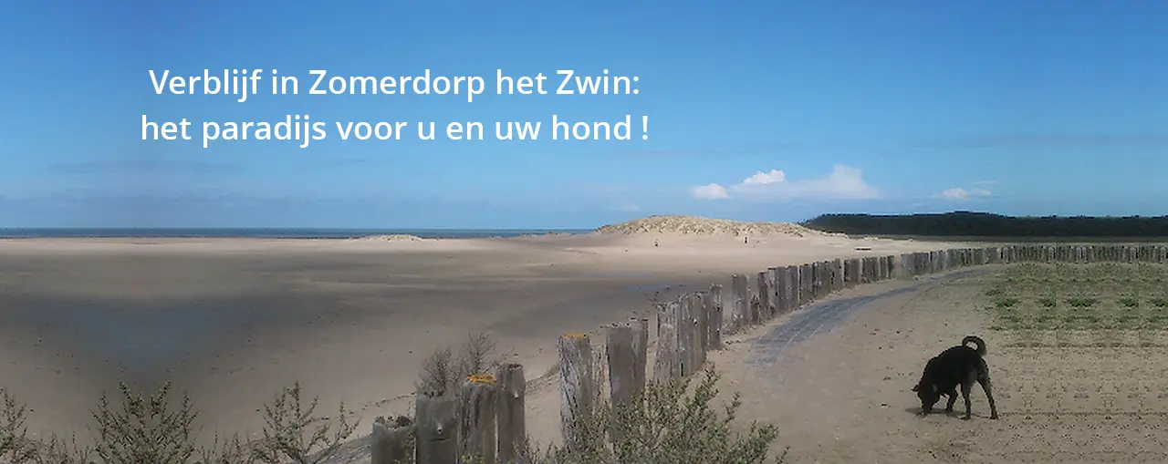 cadzand zomerdorp het Zwin