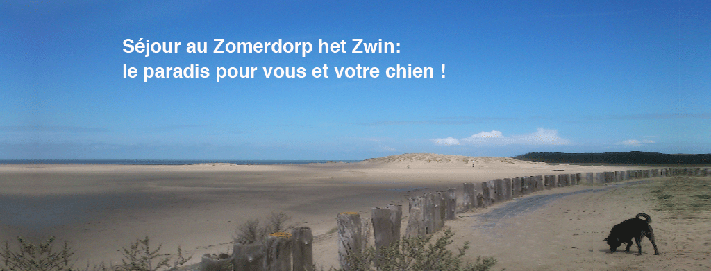 cadzand chien